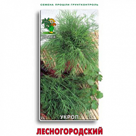 Укроп Лесногородский фото Укроп Лесногородский 